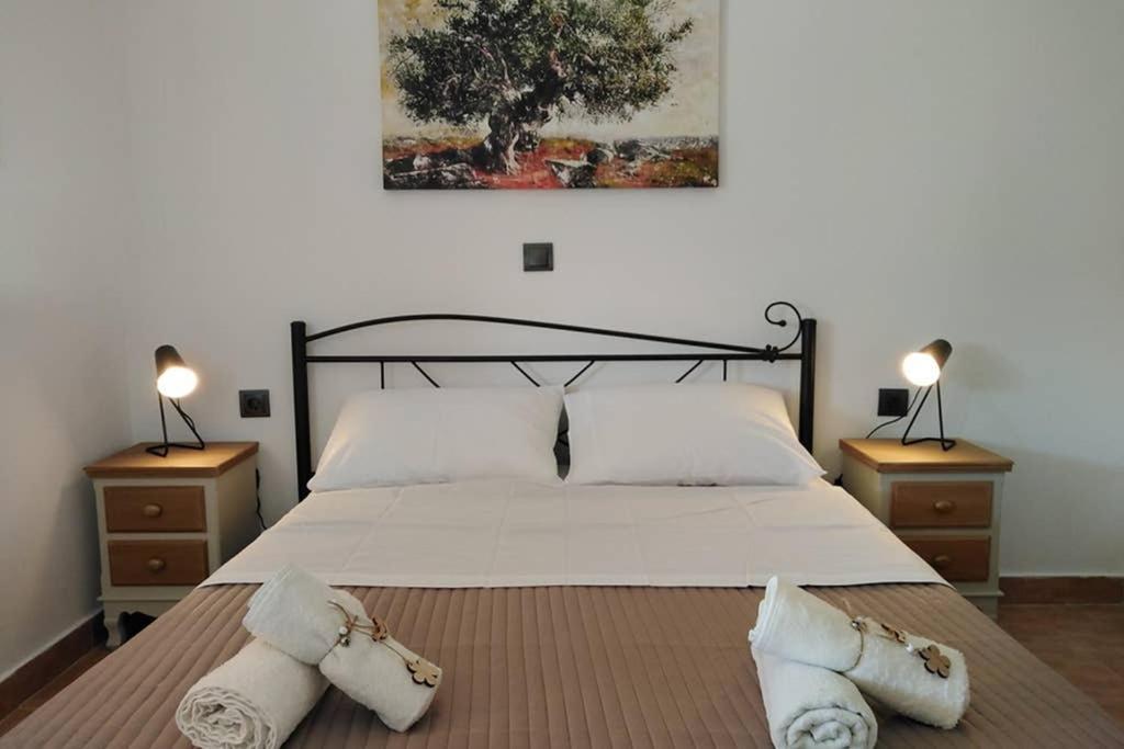 Dhimisianáta Apartment With Private Pool For Rent In Tzanata Kefalonia מראה חיצוני תמונה